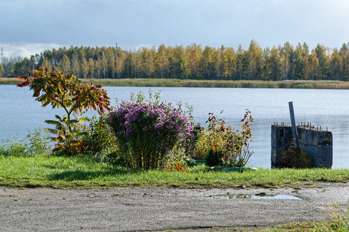 Безветренный осень в Прибалтийском мирном округе, помочить блесну Kvc5nkB.md.jpg