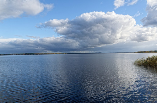 Безветренный осень в Прибалтийском мирном округе, помочить блесну KvcEIft.md.jpg
