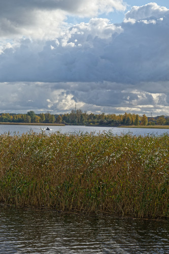 Безветренный осень в Прибалтийском мирном округе, помочить блесну KvcERJs.md.jpg