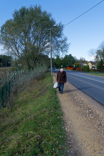 Безветренный осень в Прибалтийском мирном округе, помочить блесну Kvcf5Av.md.jpg