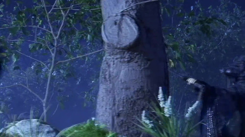 frame0.jpg