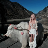 472728614 2817757008389315 8248255576709683338 n