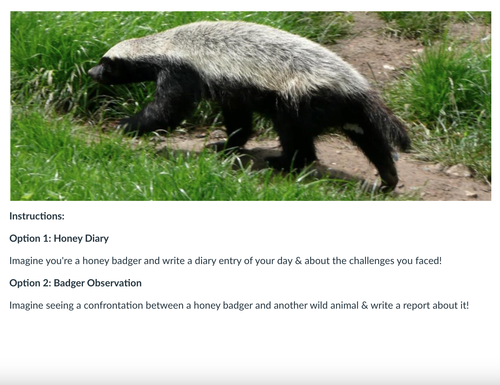 Screenshot 2025 10 03 at 5.24.57 AM.png