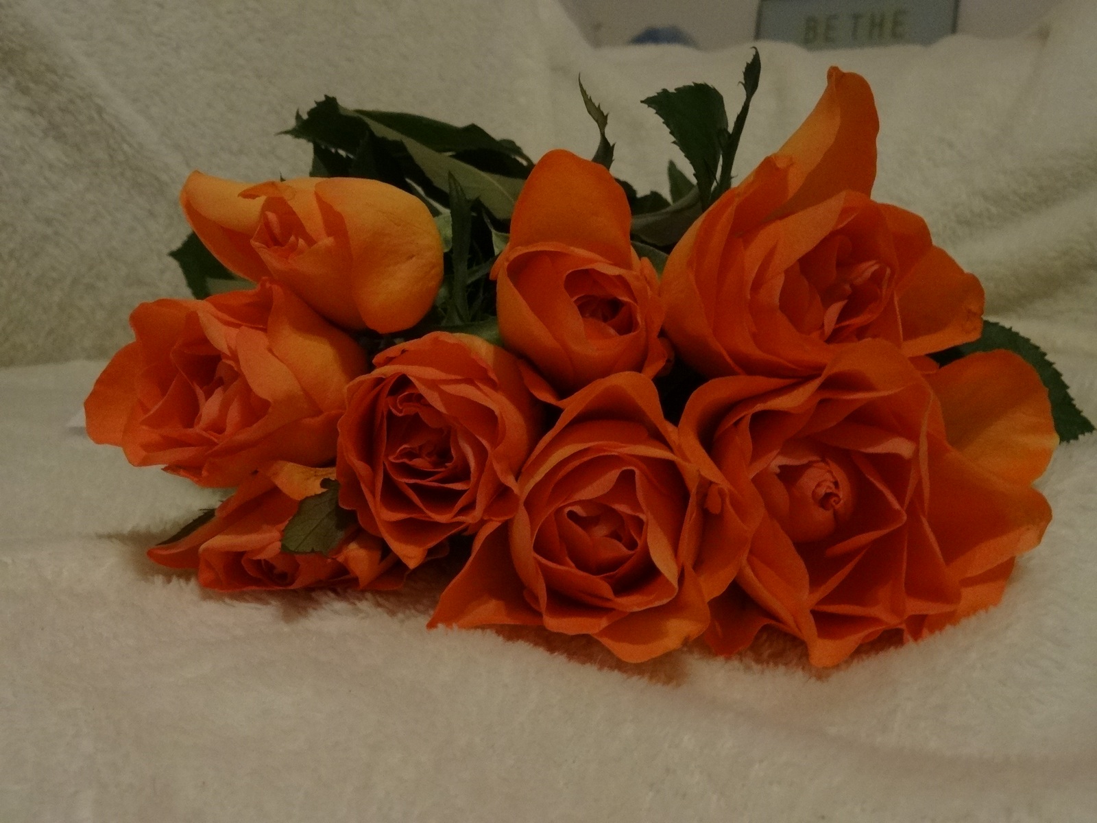 [Image: Kvl34Tl.jpg]