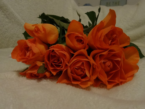 Flower image V171020251624 N17.jpg