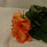 Flower image V171020251624 N18