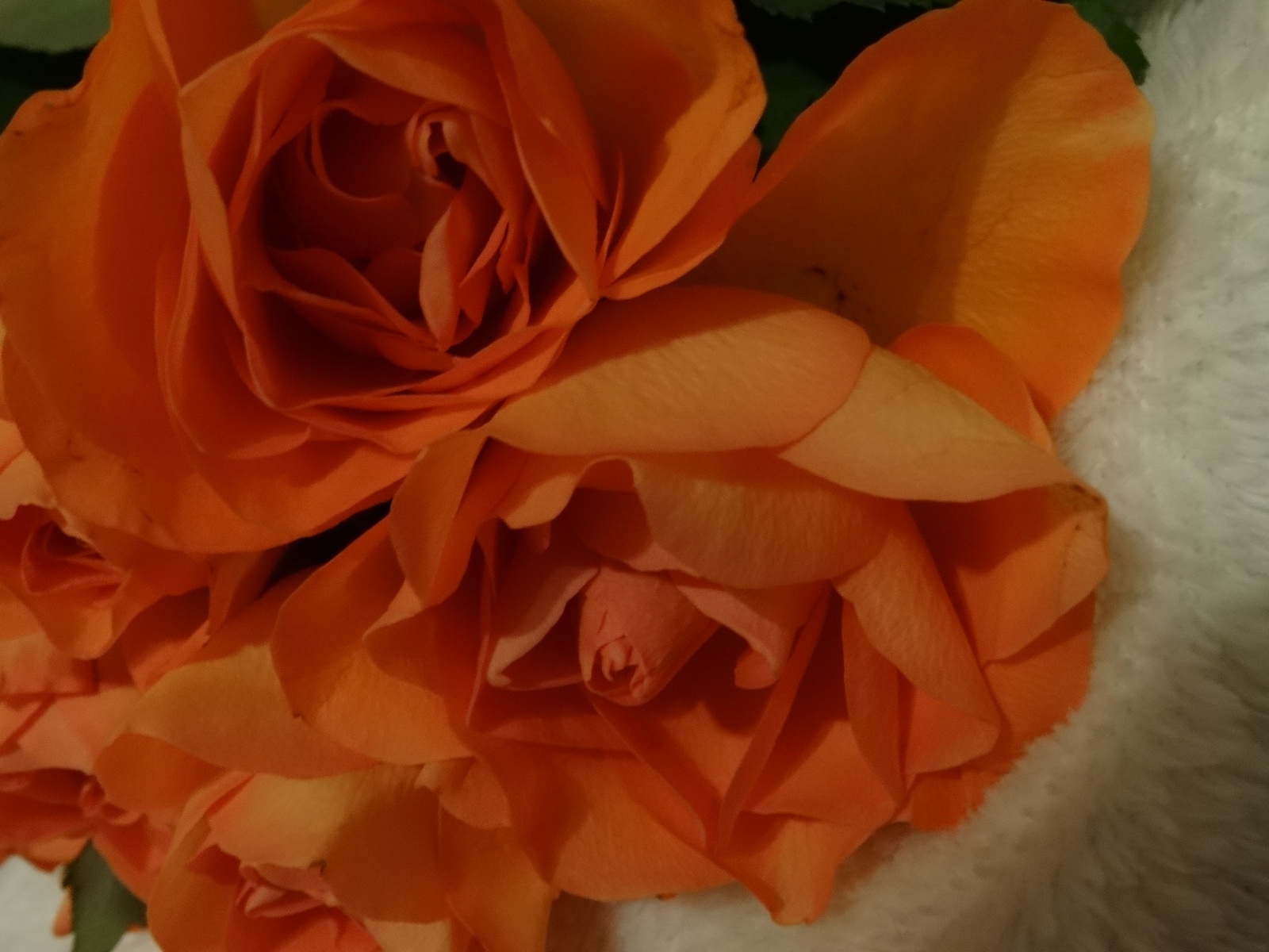 [Image: Kvl3Akx.jpg]