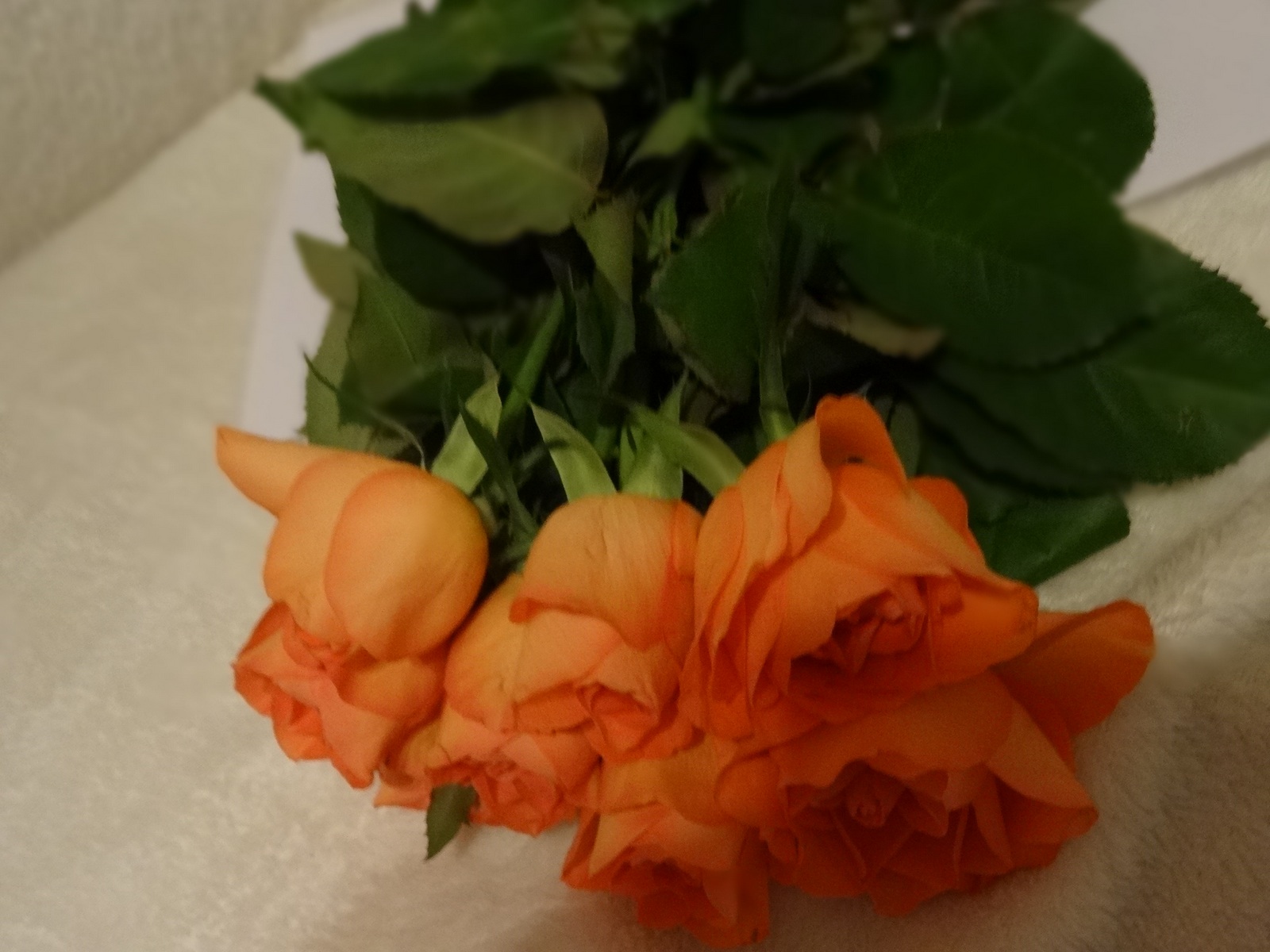 [Image: Kvl3Uvf.jpg]