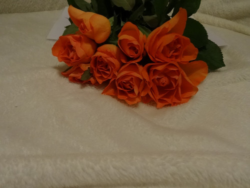 Flower image V171020251624 N12.jpg