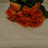 Flower image V171020251624 N12