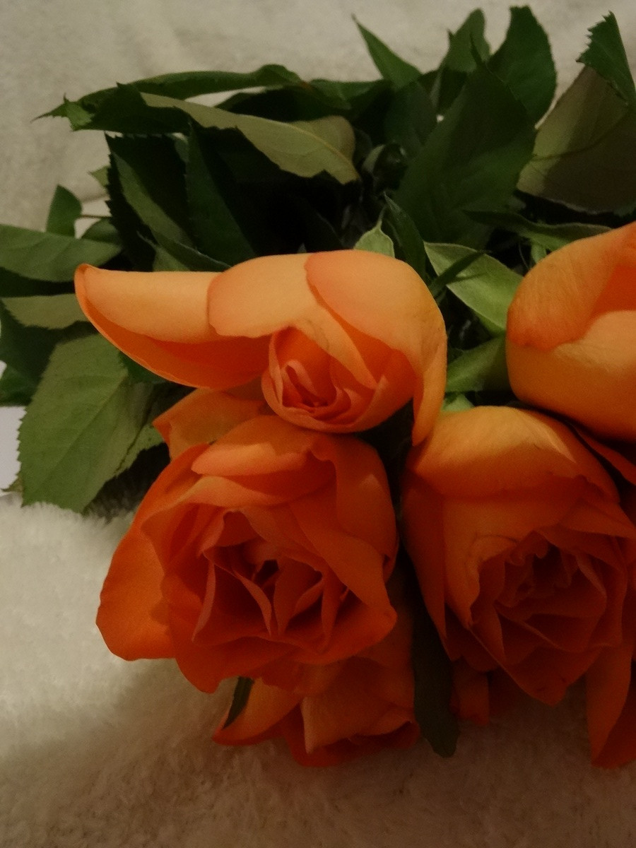 [Image: Kvl3hIp.jpg]