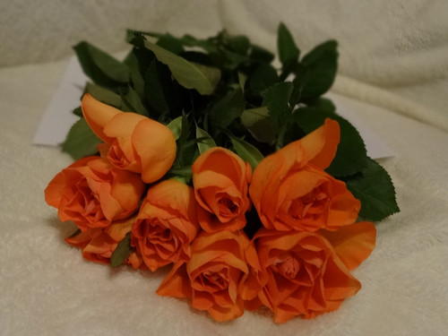 Flower image V171020251624 N13.jpg