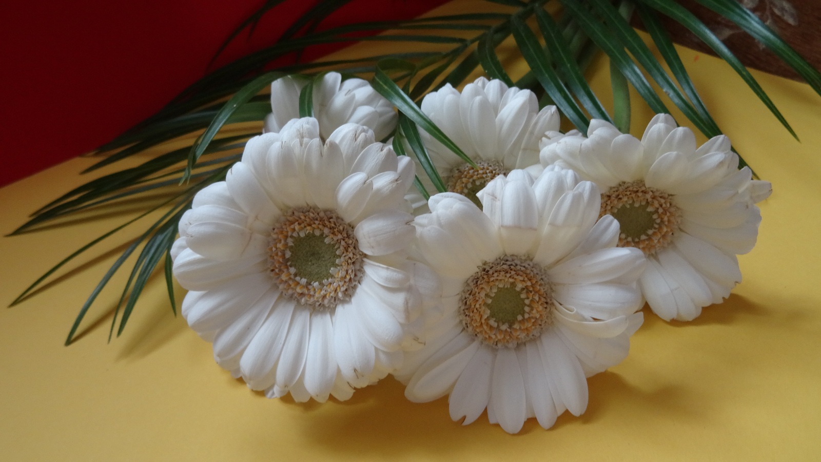 [Image: KvlBBfI.jpg]