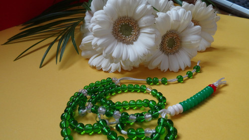 Flower image V171020251624 N171