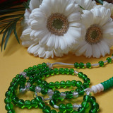 Flower image V171020251624 N171