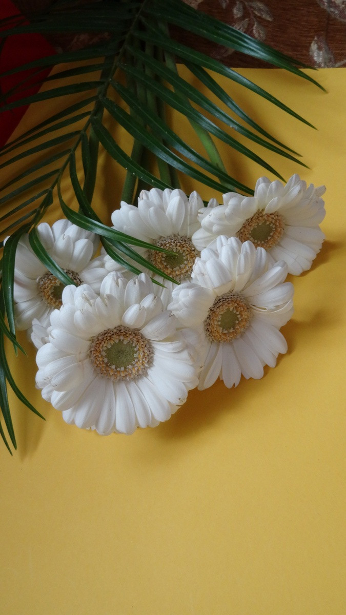 [Image: KvlBKVp.jpg]