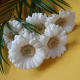 Flower image V171020251624 N173