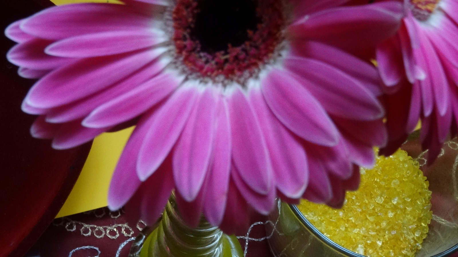 [Image: KvlBQ7n.jpg]