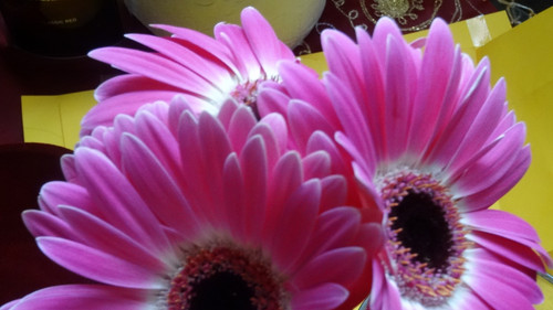 Flower image V171020251624 N196