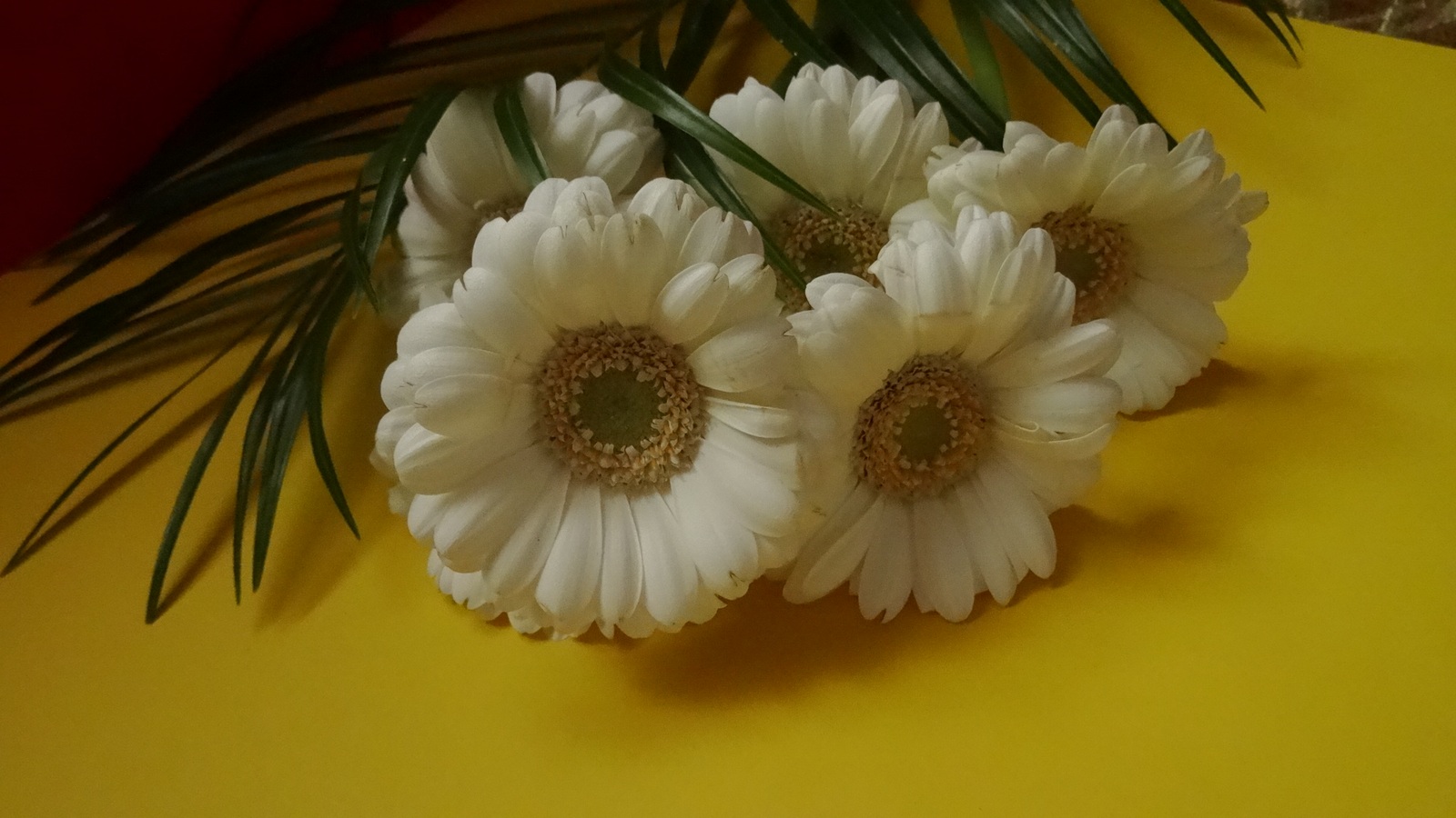 [Image: KvlBnUX.jpg]