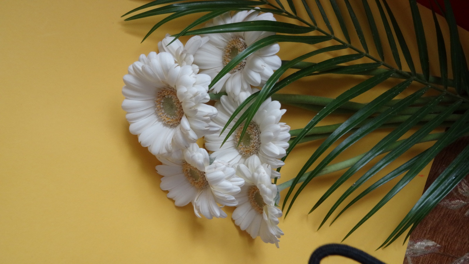 [Image: KvlBxJn.jpg]