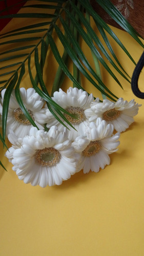 Flower image V171020251624 N179