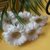 Flower image V171020251624 N179