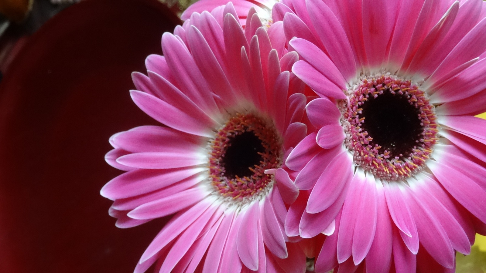 [Image: KvlC14I.jpg]