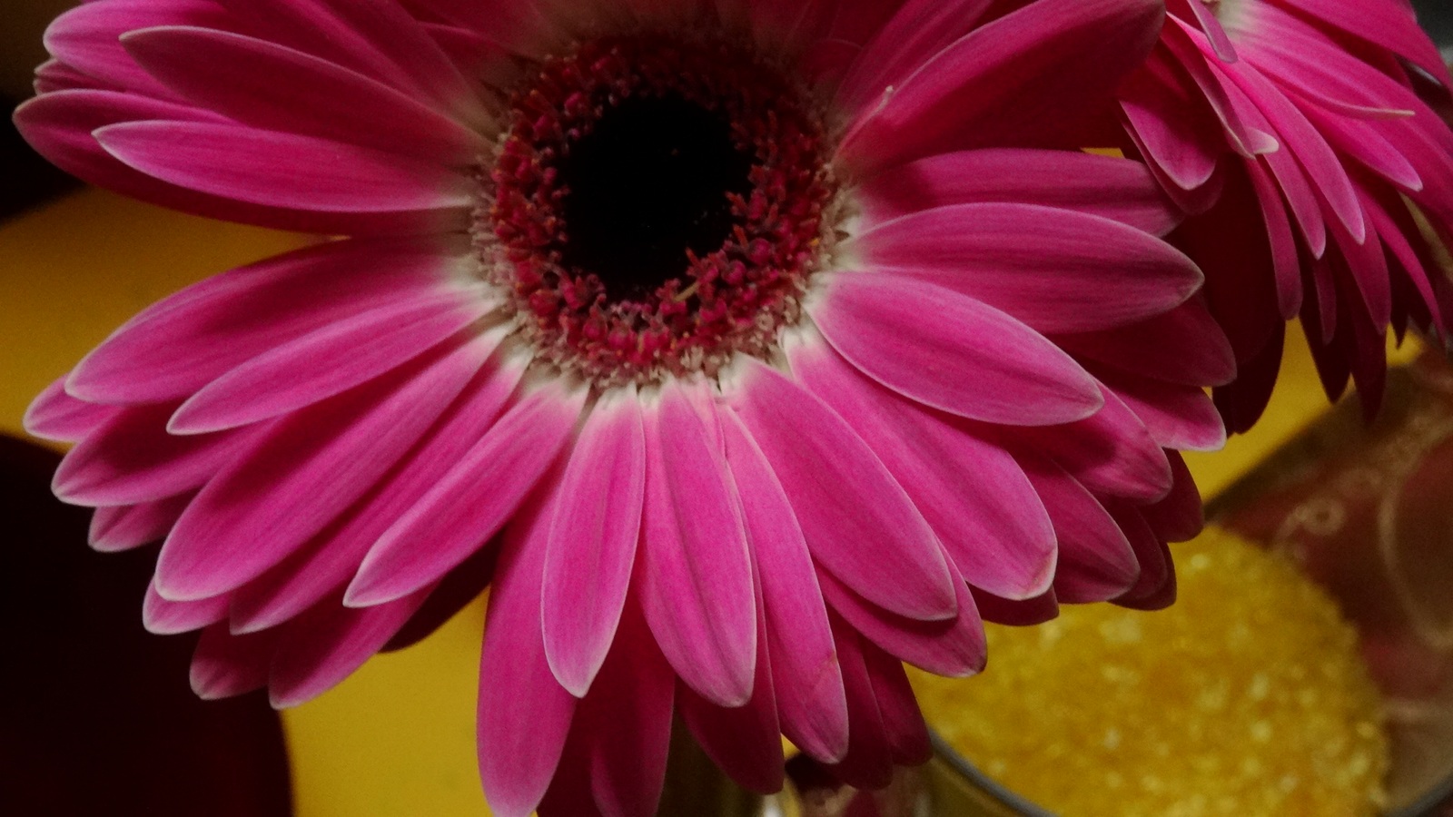 [Image: KvlC4Tb.jpg]