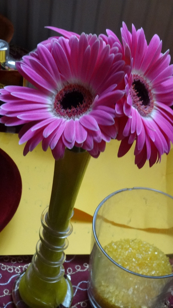 [Image: KvlC7TJ.jpg]