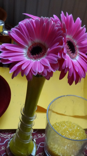 Flower image V171020251624 N210