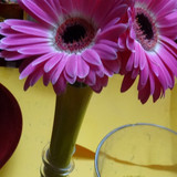 Flower image V171020251624 N210