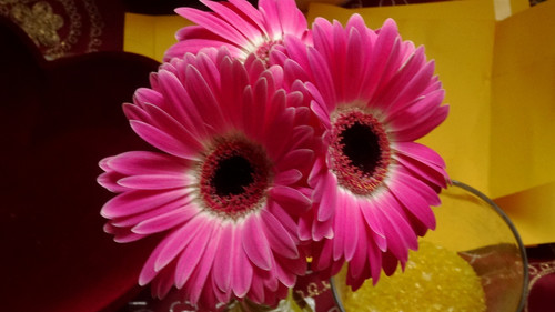 Flower image V171020251624 N218