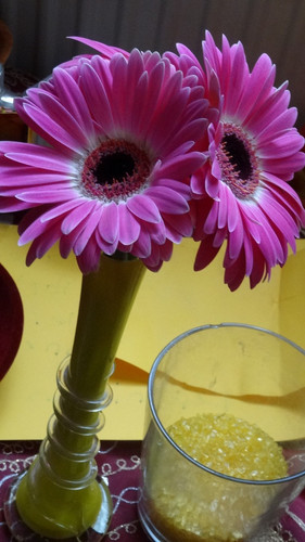 Flower image V171020251624 N208