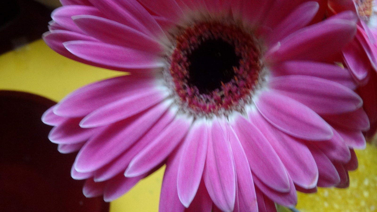 [Image: KvlCFku.jpg]