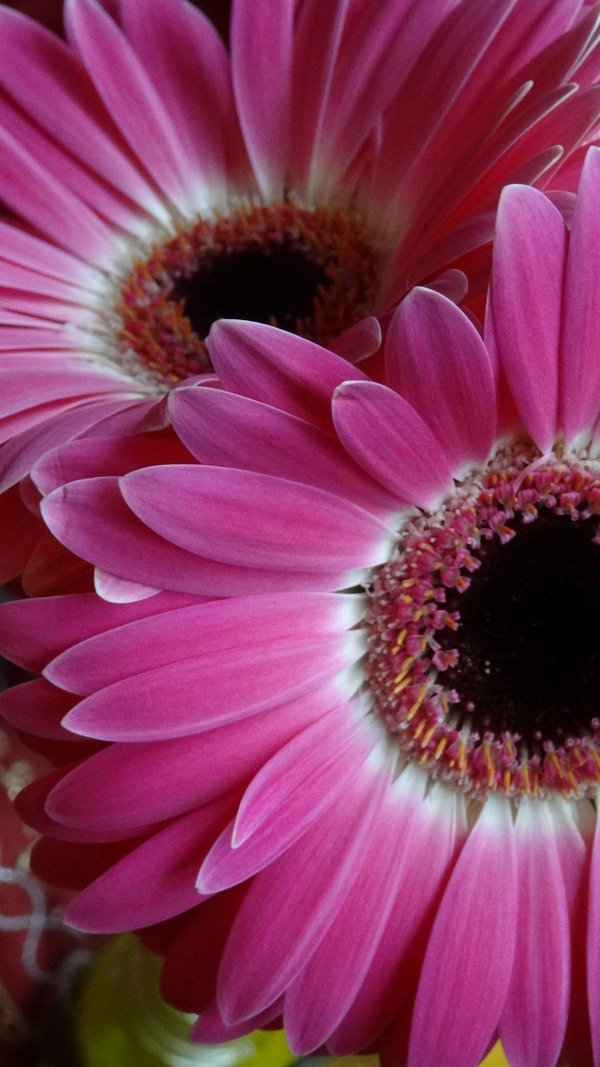 [Image: KvlCKmb.jpg]