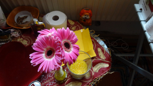 Flower image V171020251624 N225