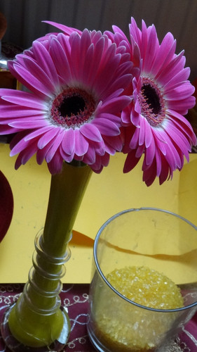 Flower image V171020251624 N209