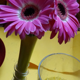 Flower image V171020251624 N209