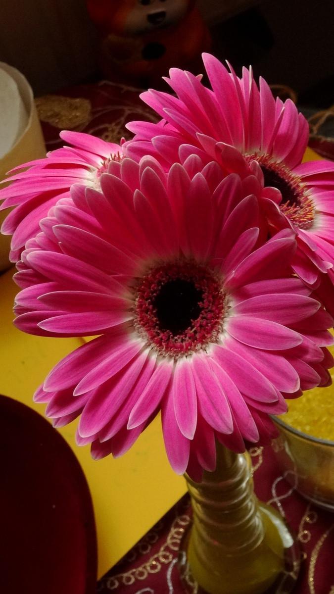 [Image: KvlCSa9.jpg]