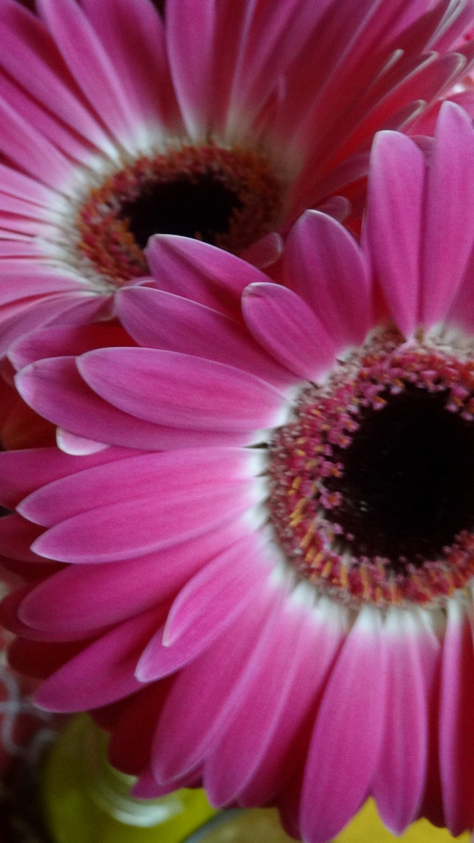 [Image: KvlCT21.jpg]