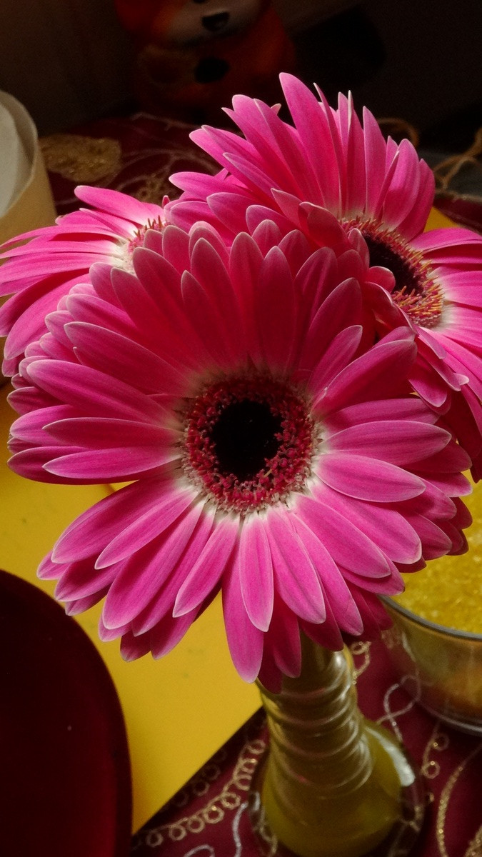 [Image: KvlCUve.jpg]