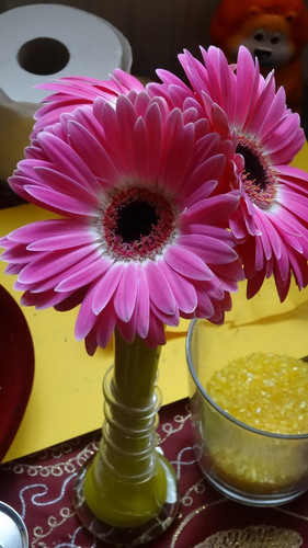 Flower image V171020251624 N211