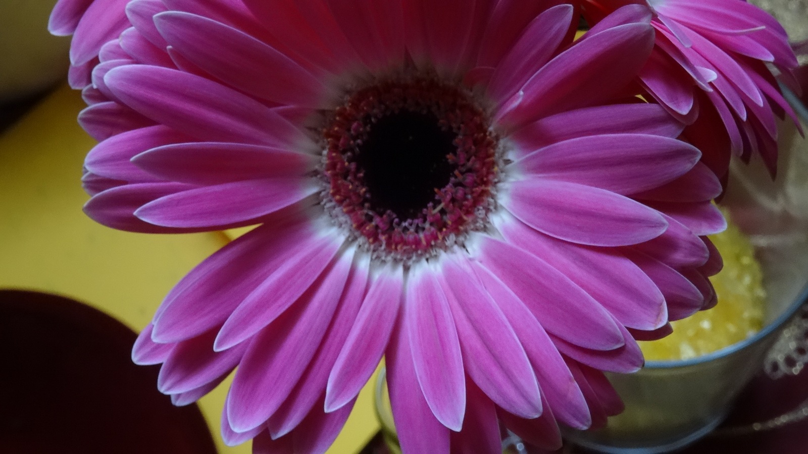 [Image: KvlCaQR.jpg]