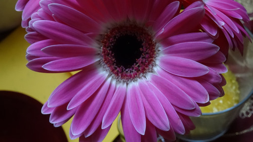 Flower image V171020251624 N212