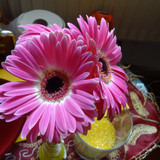 Flower image V171020251624 N226