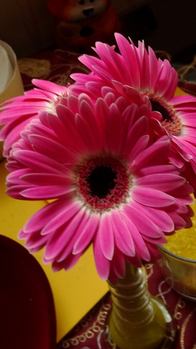 [Image: KvlCgyu.jpg]