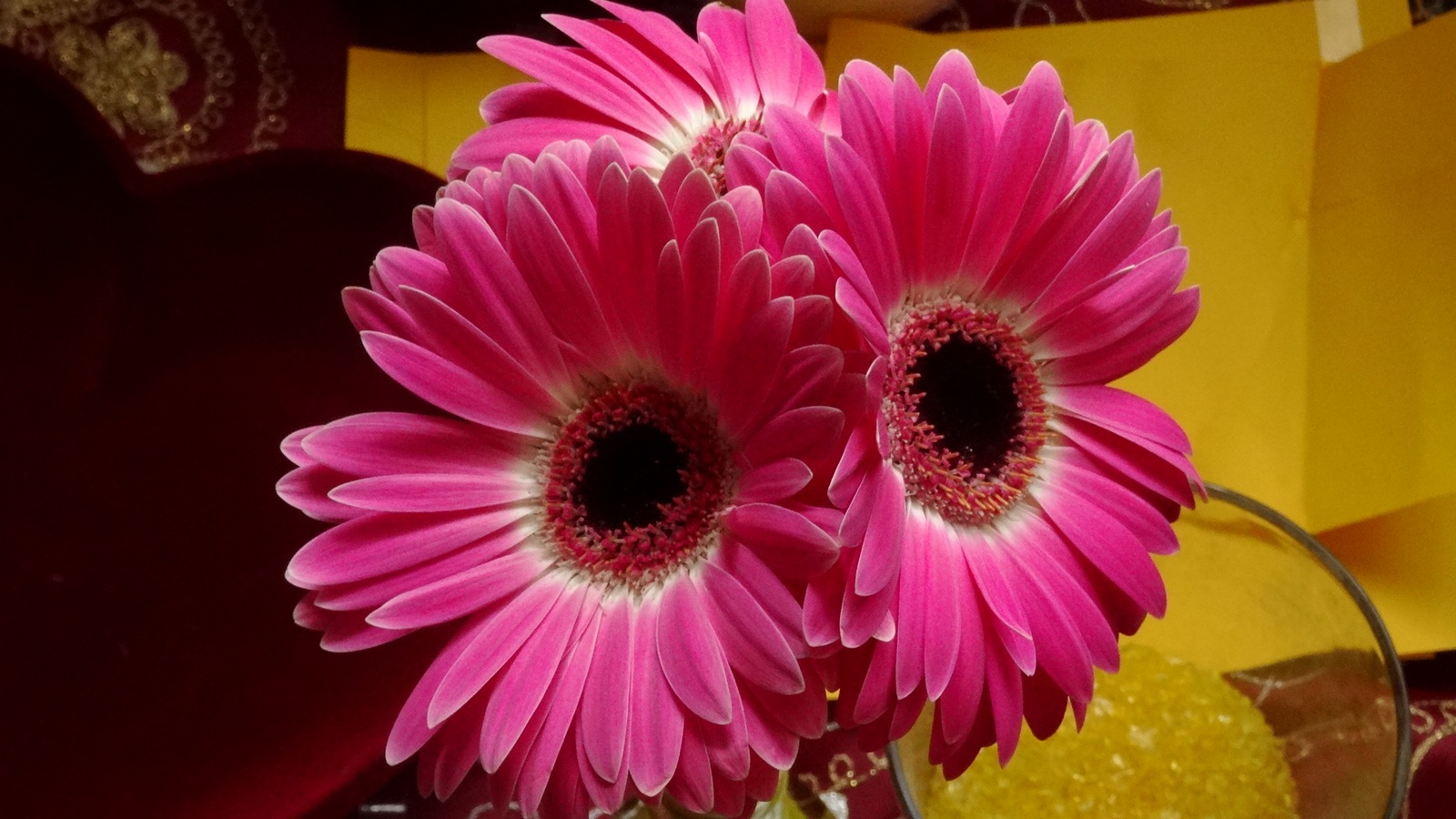 [Image: KvlCk4S.jpg]