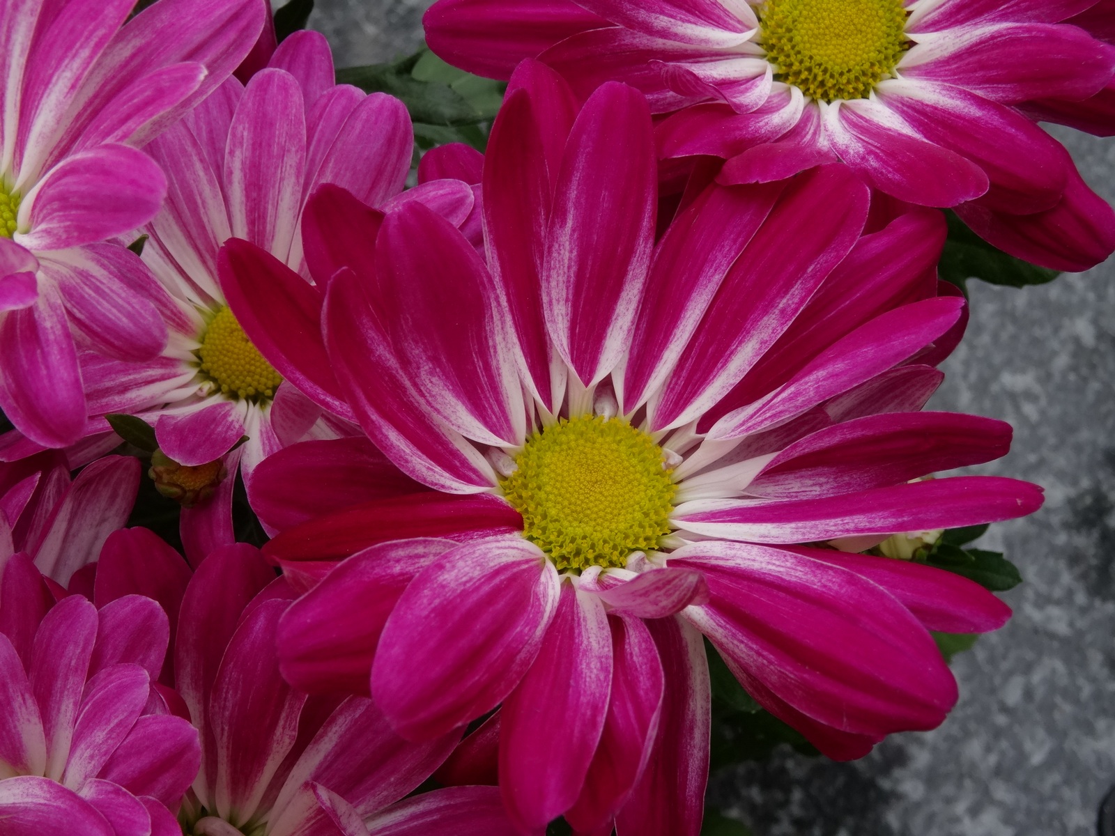 [Image: KvlKdN4.jpg]