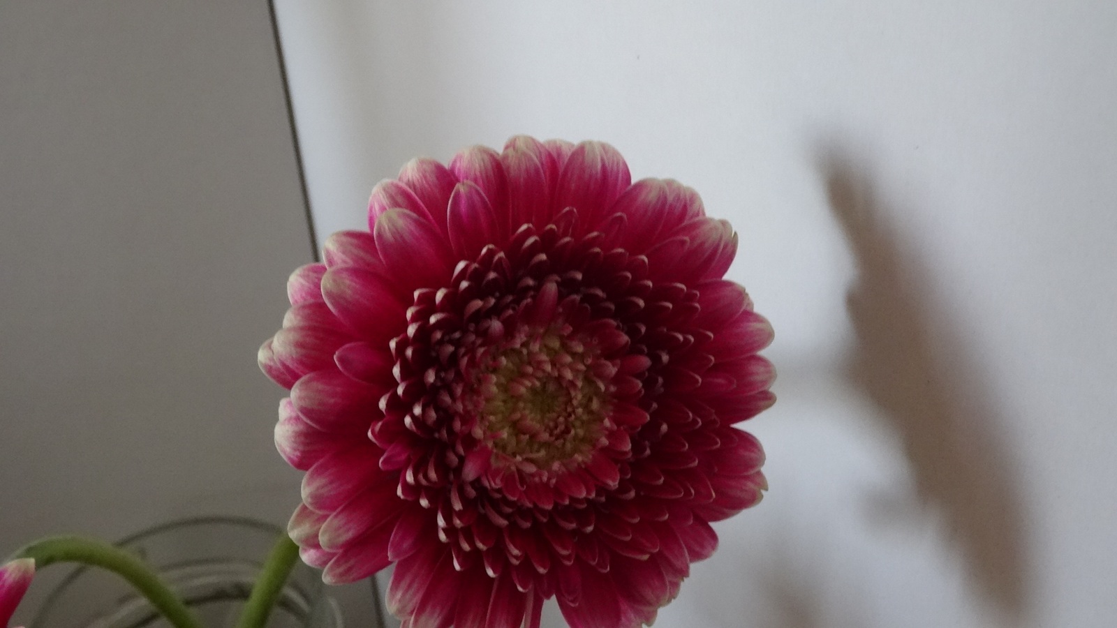 [Image: Kvlf149.jpg]